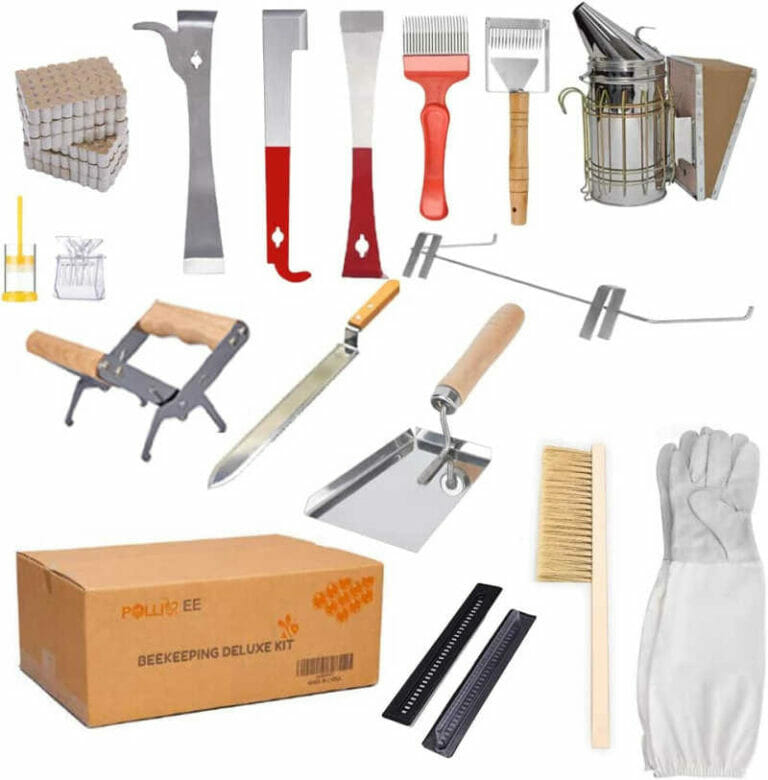 Best Beekeeping Starter Kits - Top Picks for 2024 Bee Professor